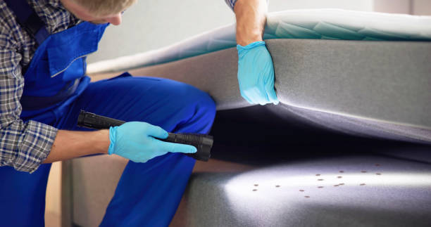 Best Bed Bug Extermination  in Folsom, PA