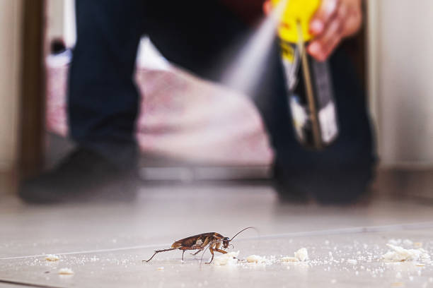 Best Cockroach Control Services  in Folsom, PA
